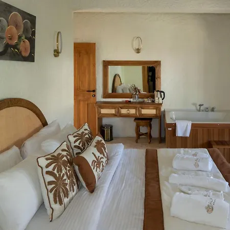 Hotel Aura Village *